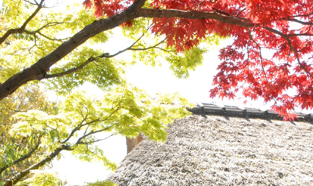 名勝 養浩館庭園 特設サイト